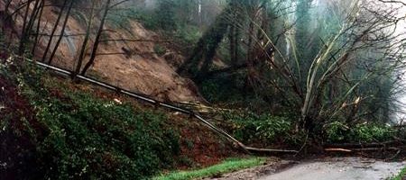 Seattle Landslides: Slip Slidin’ Away